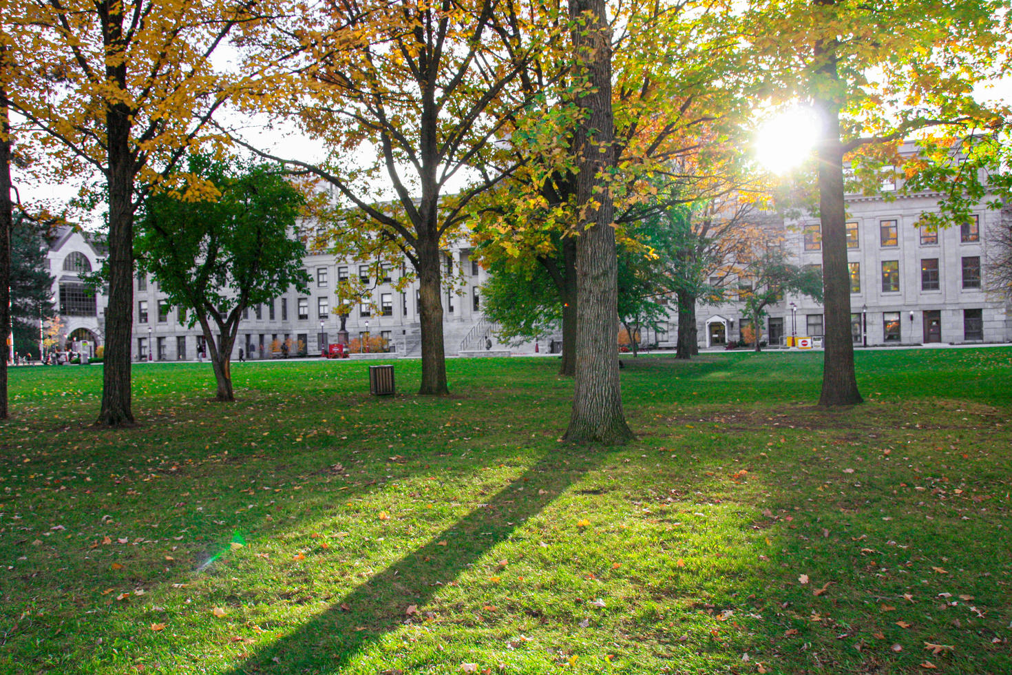 Sun shining through the trees on the lawn in front of the Tabaret building at the University of Ottawa