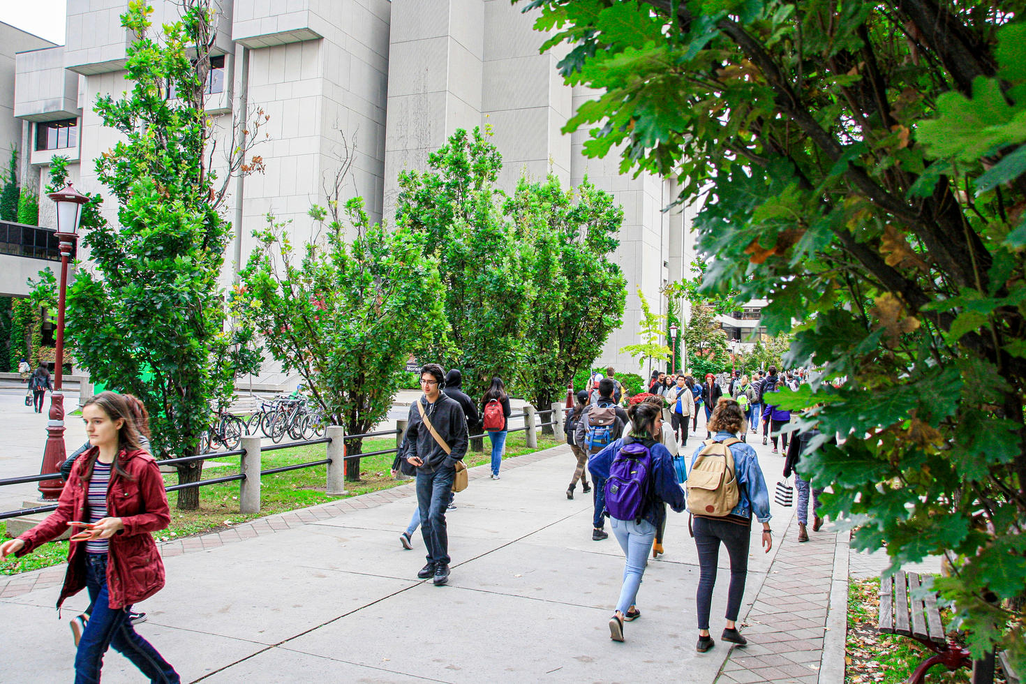 Students walking on campus