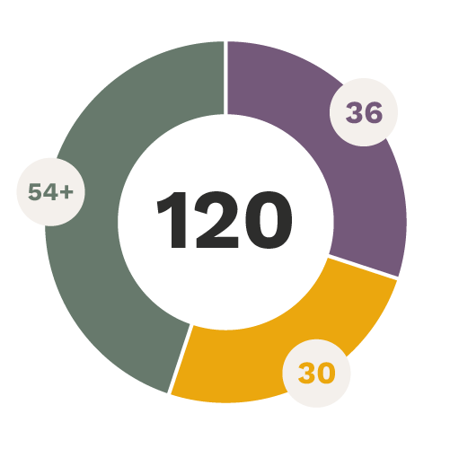 Circular graphic representing honours bachelor with minor