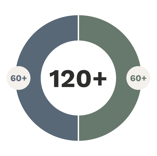 circular graphic representing a double degree